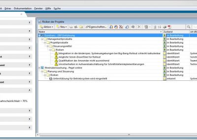 Zentrales Risikomanagement in in-STEP BLUE