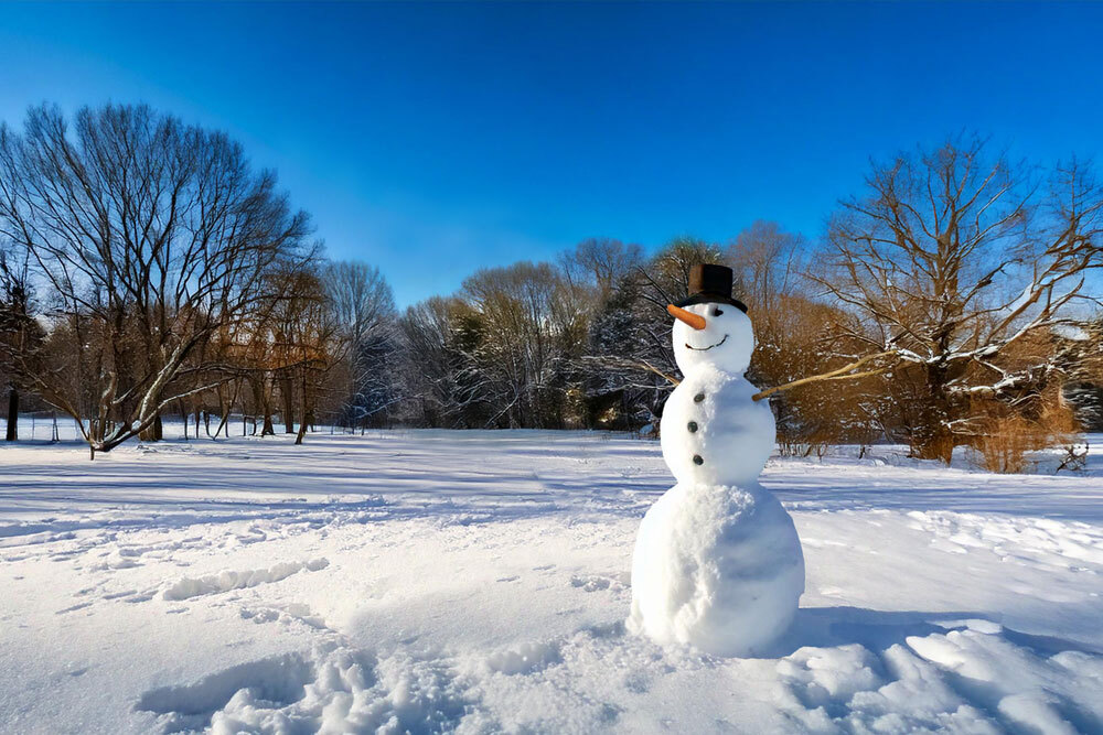 weihnachten24 Ein Schneemann mit drei Kugeln, Karottennase und Hut steht vor einer Winterlandschaft mit Bäumen.